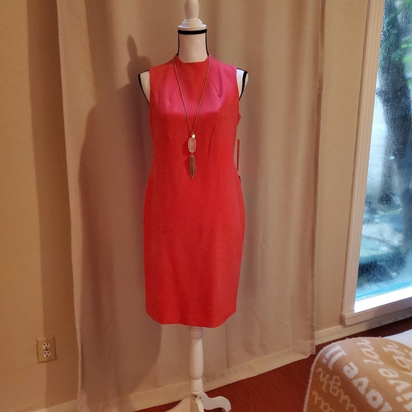 New Dress - Picture 5 of 6